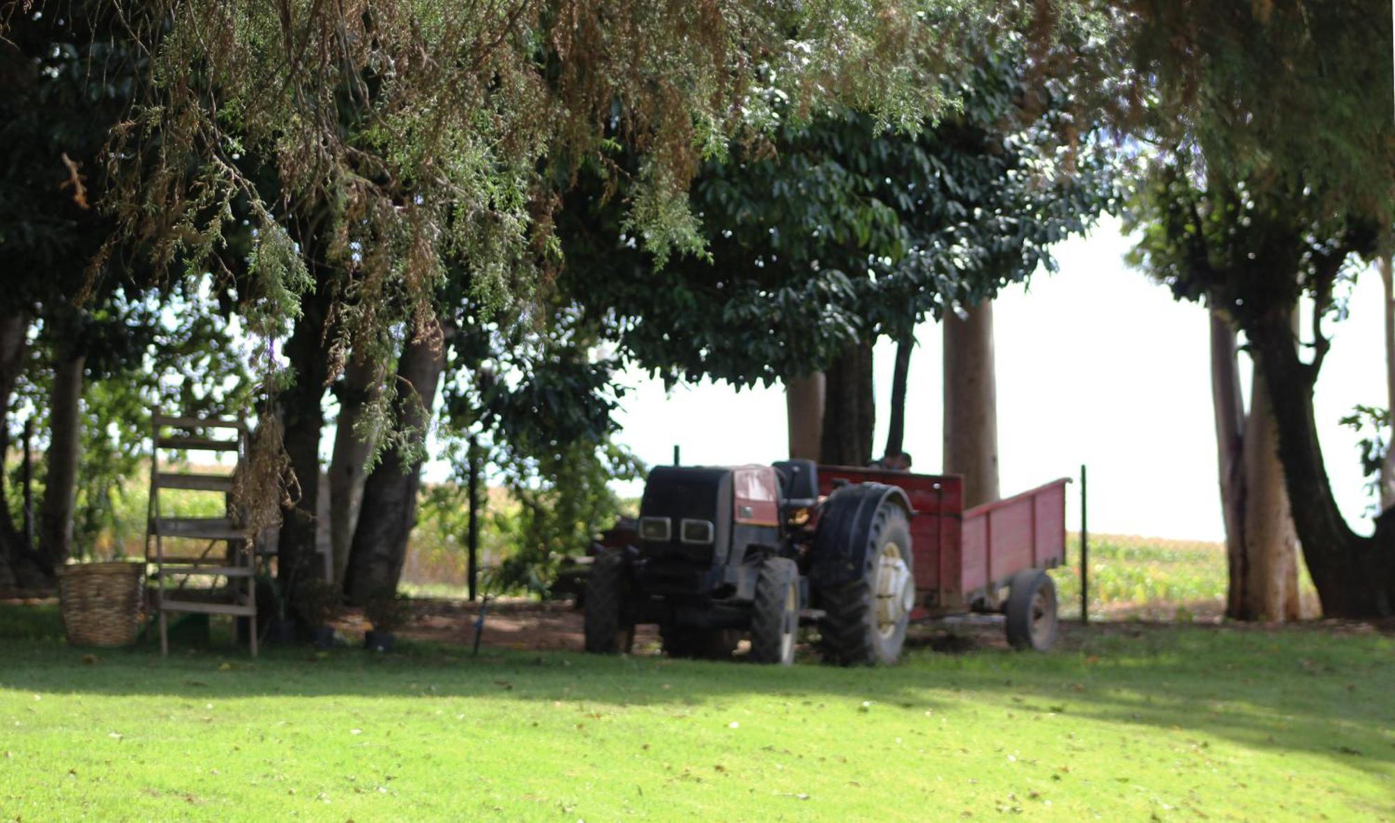 Limoeiro Da Concordia Hotel Fazenda De Charme Cabreúva Exterior foto