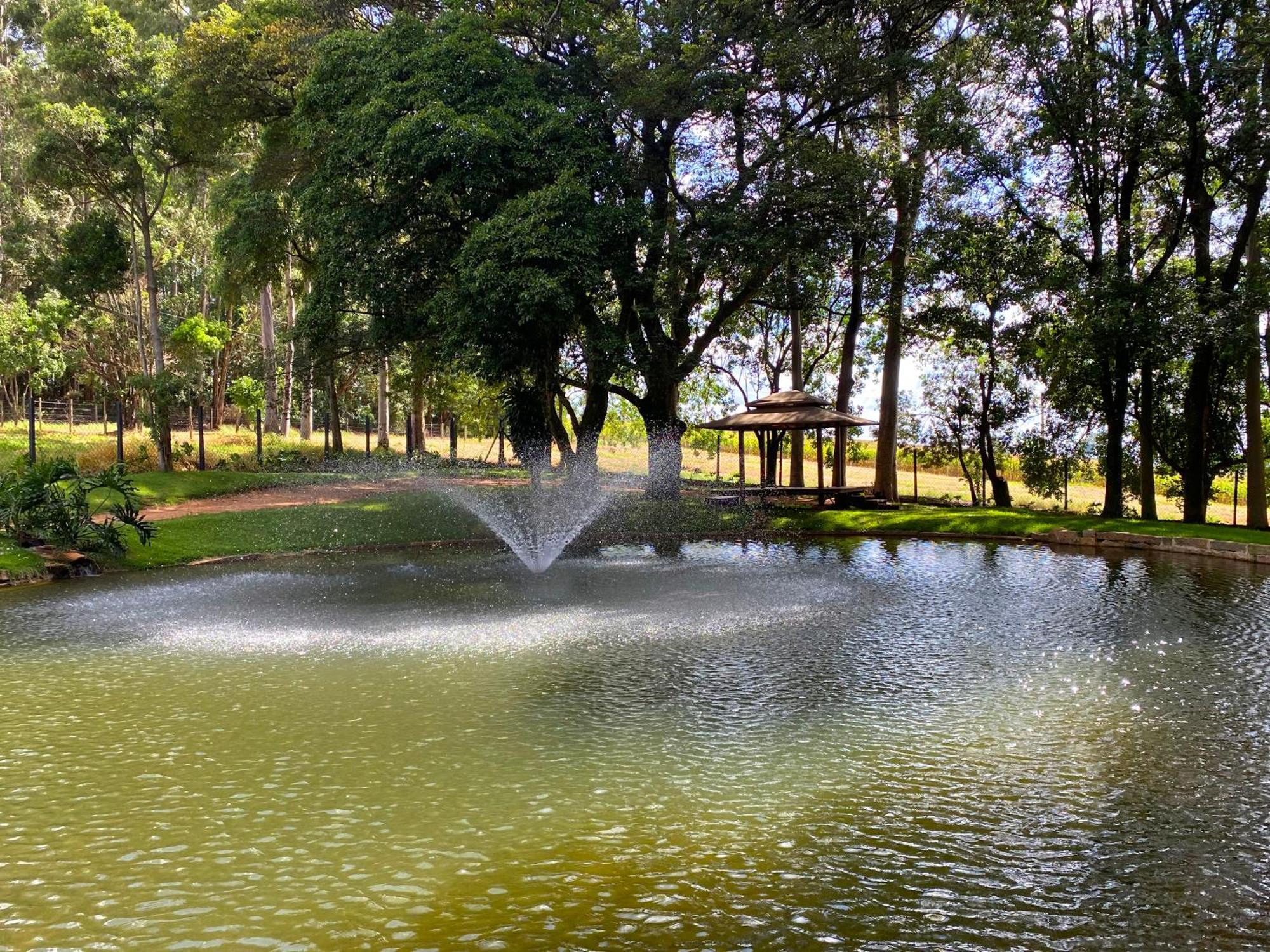 Limoeiro Da Concordia Hotel Fazenda De Charme Cabreúva Exterior foto